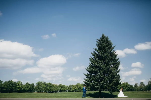 木のポーズ新婚夫婦の美しいカップル — ストック写真