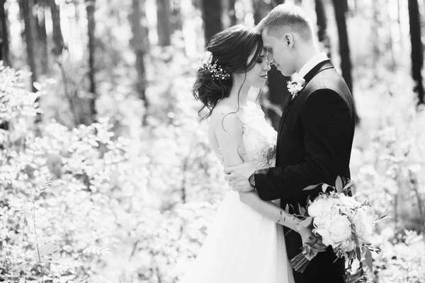 Young Beautiful Couple Embracing Park — Stock Photo, Image