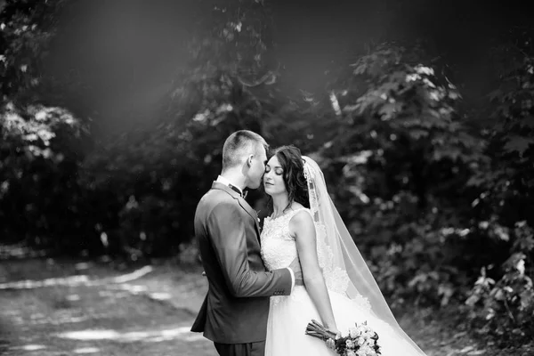 新婚夫妇在春园接吻 — 图库照片