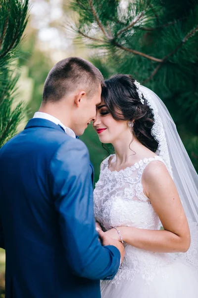 Jovem Casal Recém Casados Mãos Dadas Jardim Primavera — Fotografia de Stock