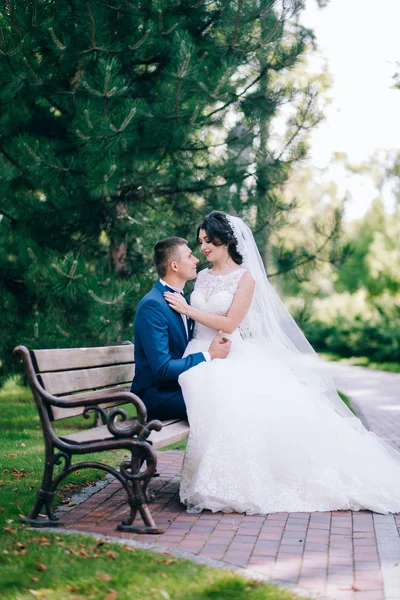 Pareja Joven Recién Casados Sentados Banco Jardín Primavera —  Fotos de Stock