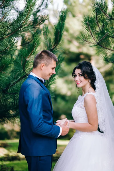 Pareja Joven Recién Casados Tomados Mano Jardín Primavera —  Fotos de Stock