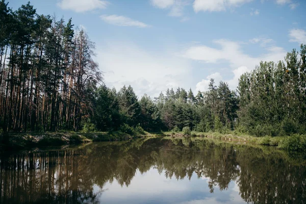 Vacker Sjö Skogen Naturen — Gratis stockfoto