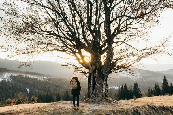 Junge Frau Steht Baum — Stockfoto