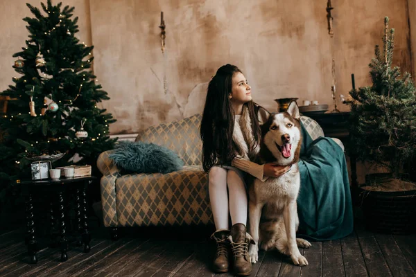Menina Bonita Posando Com Cão Dentro Casa — Fotografia de Stock