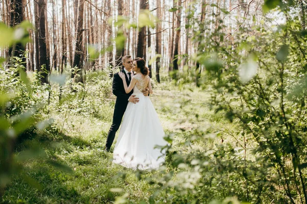 Giovane Bella Coppia Che Abbraccia Nel Parco — Foto Stock