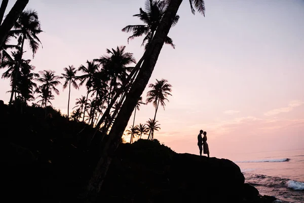 Silueta Unui Cuplu Tânăr Fericit Vacanță Sri Lanka — Fotografie, imagine de stoc