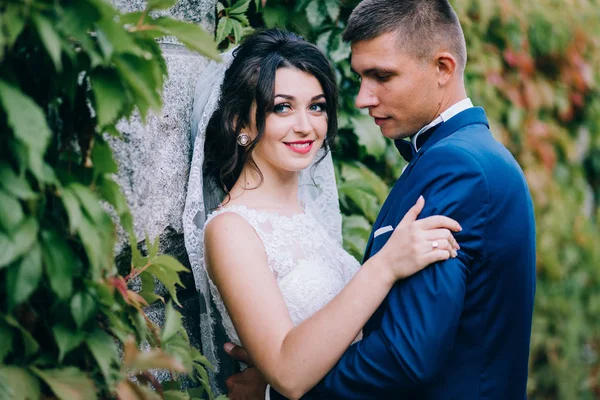 Krásný Mladý Pár Novomanželů Všeobjímající — Stock fotografie