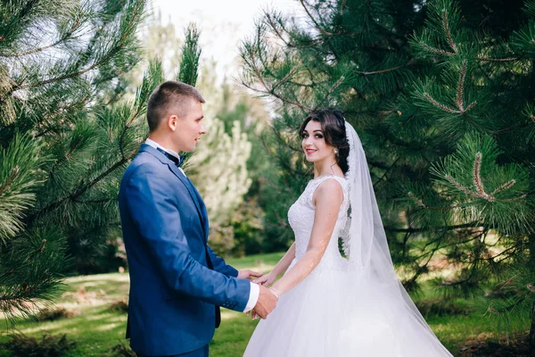 Mooie Jonge Paar Jonggehuwden Poseren Buitenshuis — Stockfoto