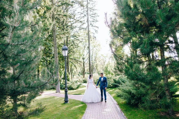 野外を歩いている新婚の美しい若いカップル — ストック写真