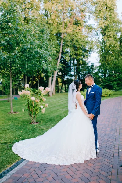 Belo Jovem Casal Recém Casados Mãos Dadas Jardim — Fotografia de Stock