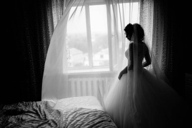 Kapalı poz genç güzel gelin