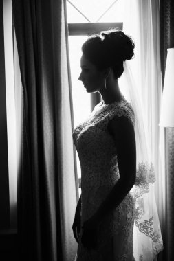 Kapalı poz genç güzel gelin