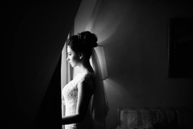 Kapalı poz genç güzel gelin