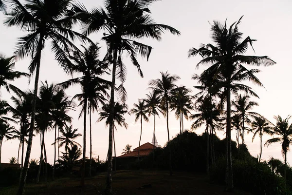 Apus Soare Plaja Din Sri Lanka — Fotografie, imagine de stoc