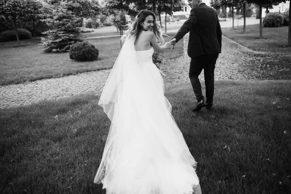 Beautiful Couple Newlyweds Walking Garden — Stock Photo, Image