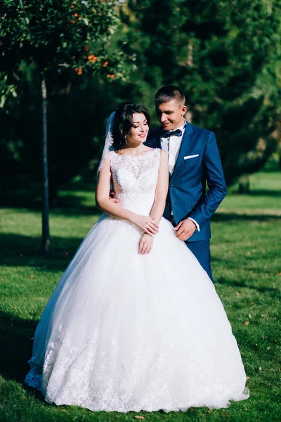 Belo Jovem Casal Recém Casados Posando Livre — Fotografia de Stock