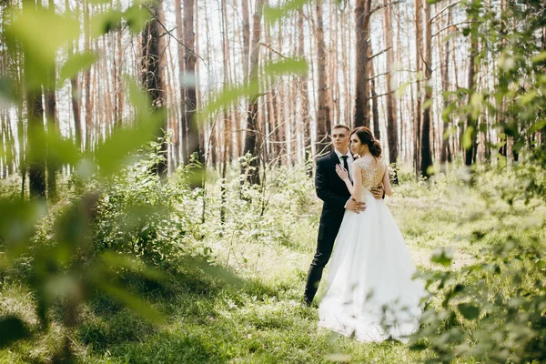 Schönes Junges Paar Umarmt Sich Park — Stockfoto