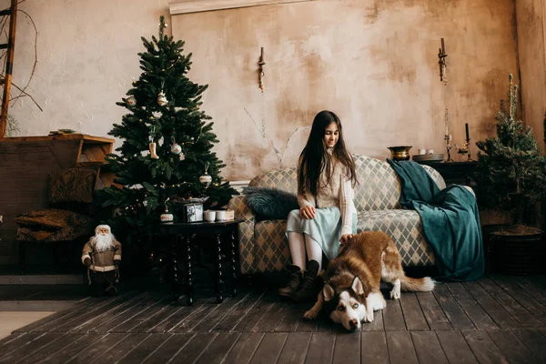 Menina Bonita Posando Com Cão Dentro Casa — Fotografia de Stock