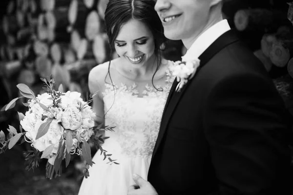Beautiful Young Couple Newlyweds Posing — Stock Photo, Image