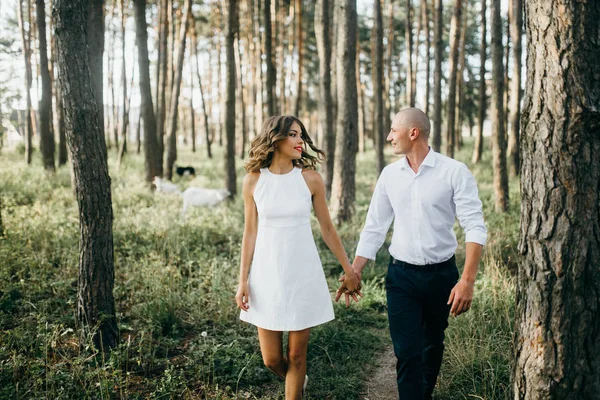 Belo Jovem Casal Parque Verão — Fotografia de Stock