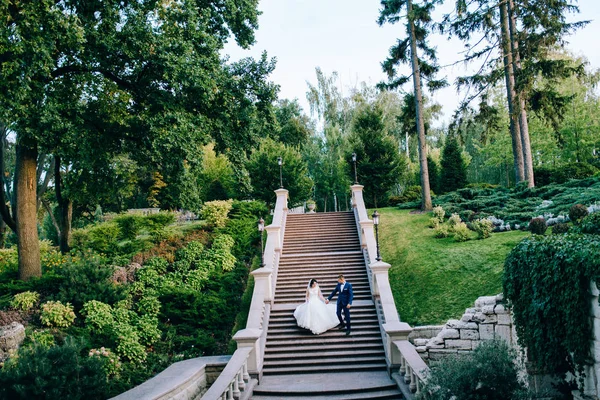 Schönes Brautpaar Posiert Auf Stufen — Stockfoto