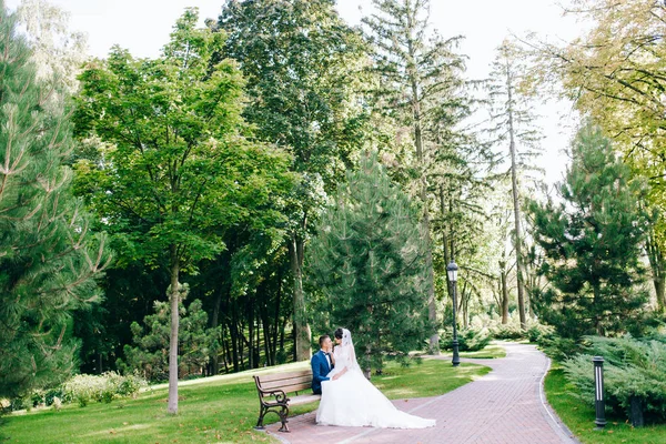 Hermosa Joven Pareja Recién Casados Sentado Banco —  Fotos de Stock