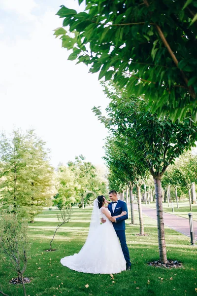 Beau Jeune Couple Jeunes Mariés Posant Extérieur — Photo