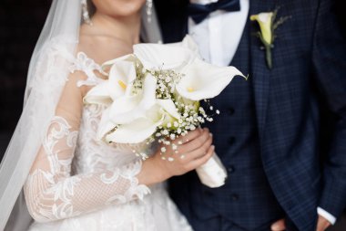 Güzel, genç bir çift yeni evli poz veriyor.