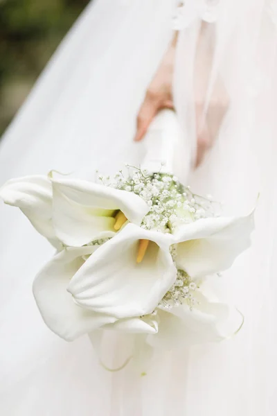 신부의 안성맞춤인 아름다운 꽃다발 — 스톡 사진
