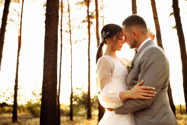 Casal Feliz Jovens Recém Casados Floresta Abraçando — Fotografia de Stock