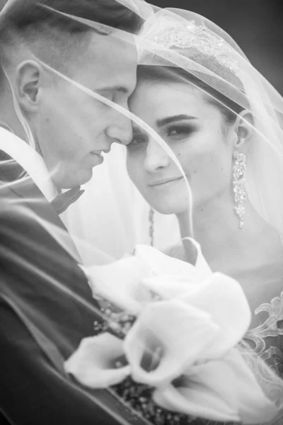 Beautiful Young Couple Newlyweds — Stock Photo, Image