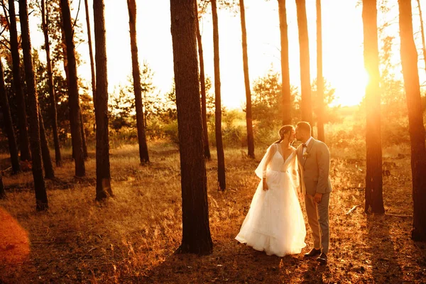 新婚夫妇在森林里欢欢喜喜地接吻 — 图库照片