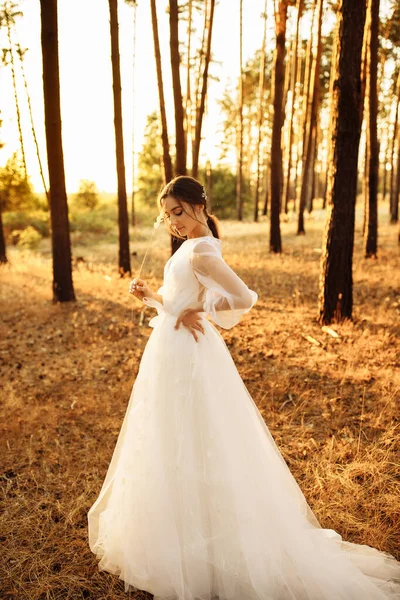 Delicada Novia Hermosa Bosque —  Fotos de Stock