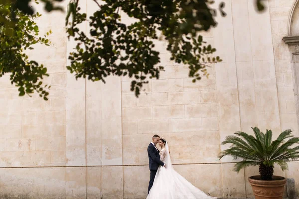 Beau Jeune Couple Jeunes Mariés Posant — Photo