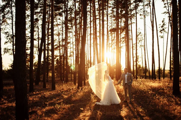 Glückliches Paar Junger Frischvermählter Wald — Stockfoto