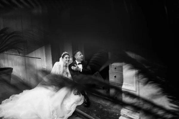 Krásný Mladý Pár Novomanželů Pózovat — Stock fotografie