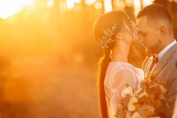 Feliz Pareja Jóvenes Recién Casados Bosque Besos —  Fotos de Stock