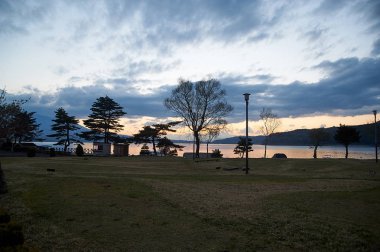 Park Manzaralı 2 akşam, Japonya / Yamanako