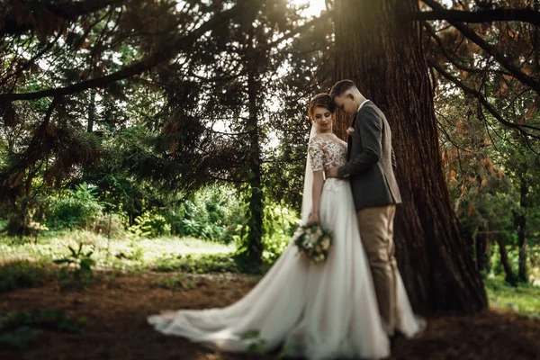 Portrait of beautiful vintage couple in deep green forest. Wedding ceremony in nature.