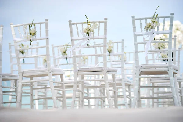 White Wood Chiavari Banqueting Chair Wedding Line Beach Fan Souvenir — Stock Photo, Image