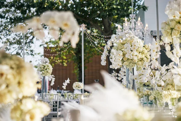 Local Casamento Para Mesa Jantar Recepção Decorada Com Orquídeas Brancas — Fotografia de Stock