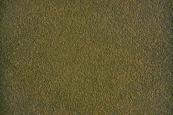 Régi fal textúra zuzmó foltot sötét sárga és zöld — Stock Fotó