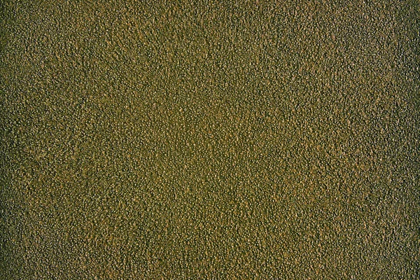 Textura de parede velha com mancha de líquen em amarelo escuro e verde — Fotografia de Stock