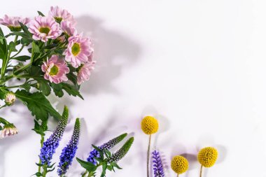 Lying.Composition beyaz bir arka plan üzerinde taze çiçekler üzerinden çok renkli çiçekler.