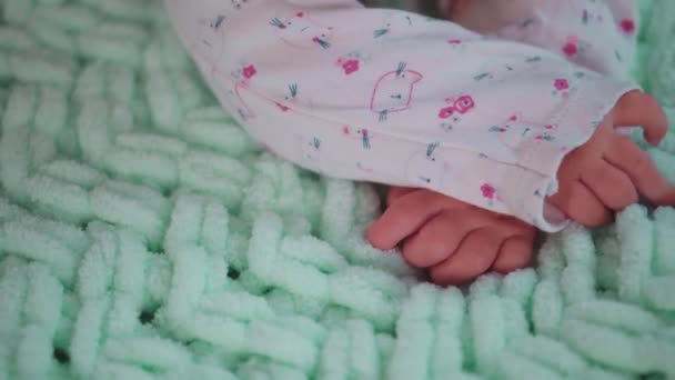 Pasgeboren baby raakt zachte ruitjes aan. Handen van een baby kruipend op een groene gebreide deken. Close-up opname. — Stockvideo