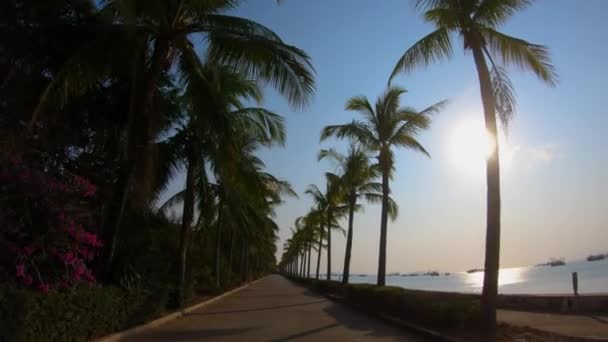 Powolna jazda motorowerem pod palmami wzdłuż ulicy w Chinach. Słoneczny dzień i czyste błękitne morze z jachtami. Czyste ulice kurortu. — Wideo stockowe