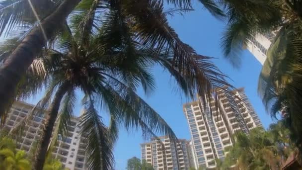 Güneşli bir gün, palmiye yapraklarını aydınlatır. Bulutsuz mavi gökyüzü. Yüksek binaları olan bir tatil köyünün temiz sokakları.. — Stok video