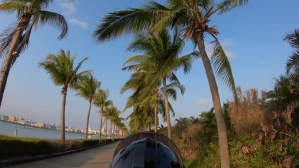 Pomalá jízda mopedem pod palmami po ulici v Číně. Ta holka v helmě jezdí na motorce. Slunečný den a jasné modré moře s jachtami. Čisté ulice letoviska města. — Stock video