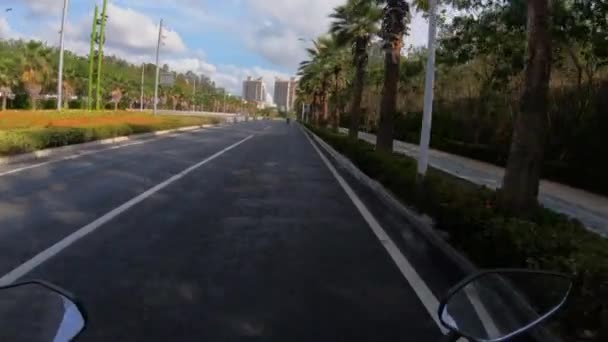 First-person view. Female hands drive a motorcycle in a resort town. Tall palm trees, flat roads and sunny weather - a fun trip on a moped. — Stock Video